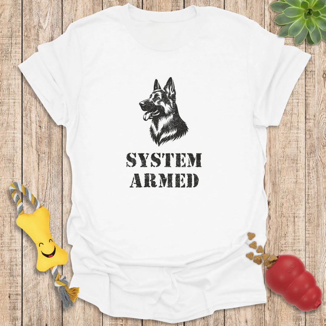 System Armed