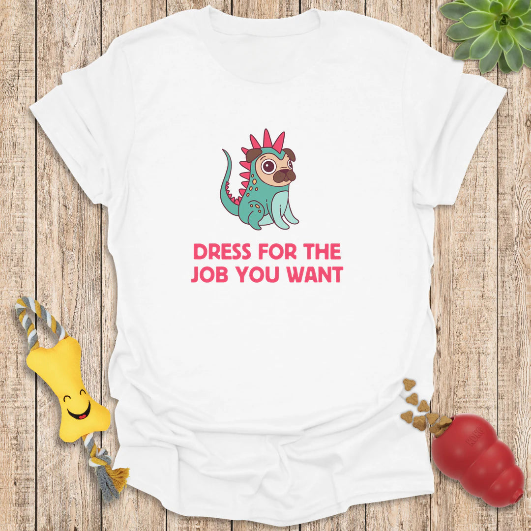 Dress for the Job