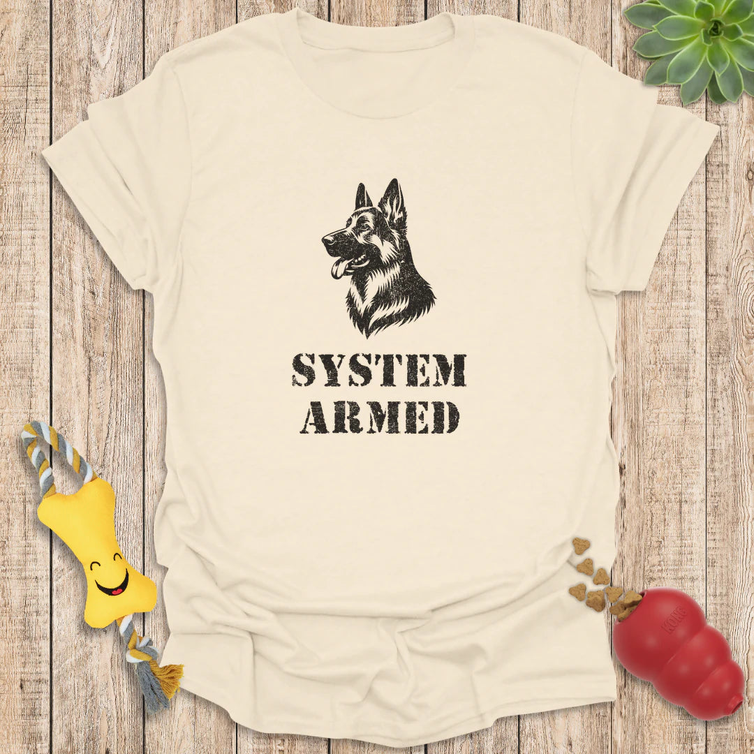 System Armed