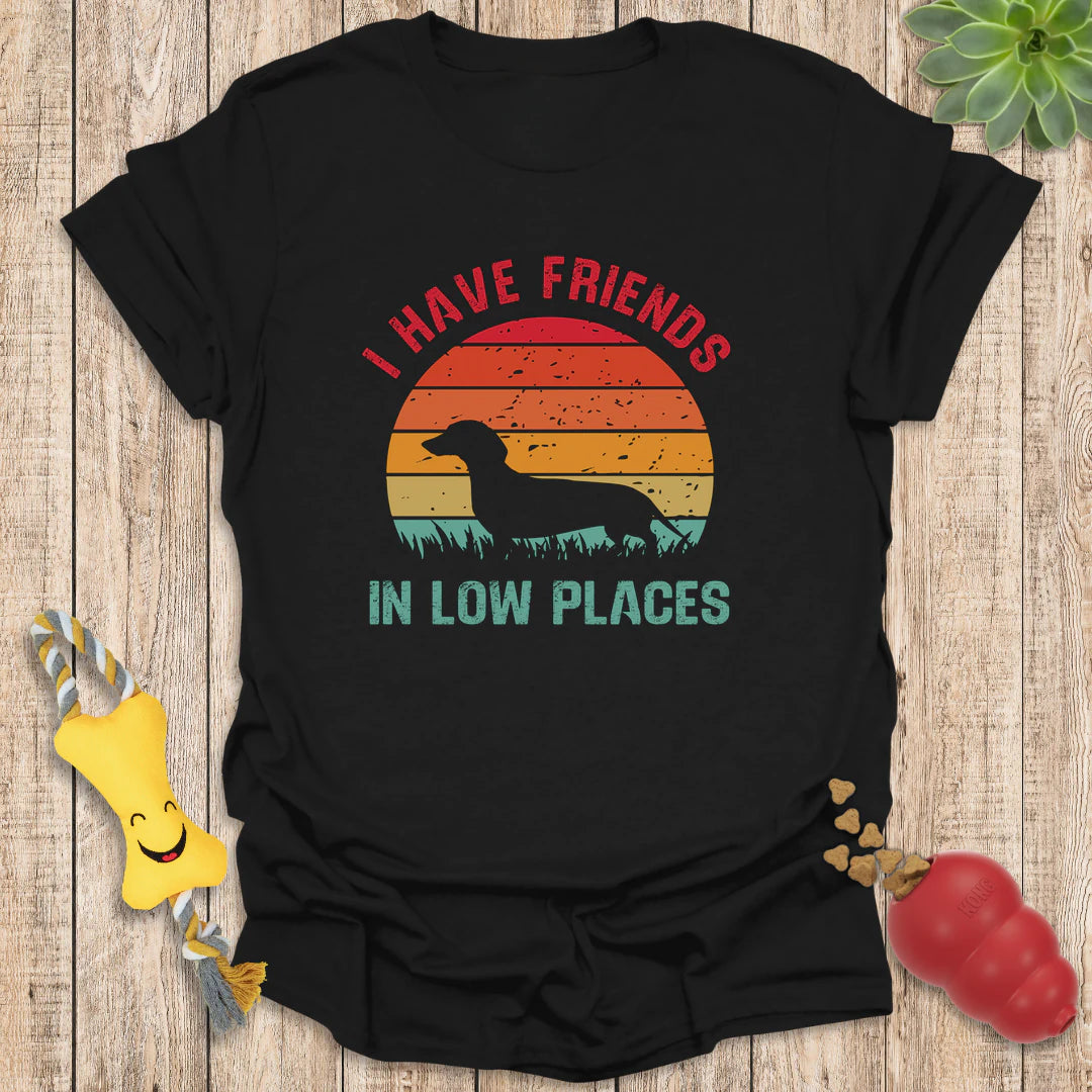 Friends in Low Places